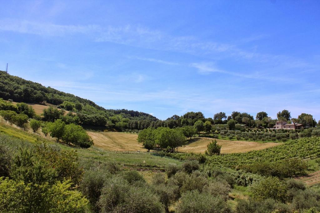 Villa Melagrana Fano Zimmer foto