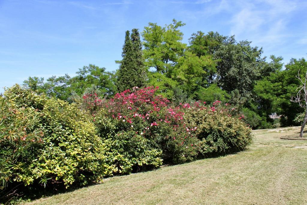 Villa Melagrana Fano Zimmer foto